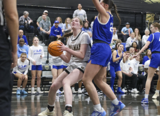PREP BASKETBALL: Lady Bearcats lose 52-50 heartbreaker to Mortimer Jordan in 6A, Area 13 championship