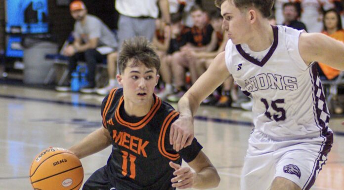PREP BASKETBALL: Meek’s season ends with 75-46 loss to Hubbertville in NW Regionals