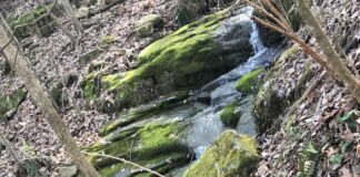 Nature’s beauty and where to find it: Hurricane Creek ParkÂ