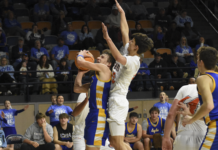 PREP BASKETBALL: Big second quarter helps no. 3 Red Bay get past no. 6 Cold Springs, 64-52, clinches a spot in Birmingham