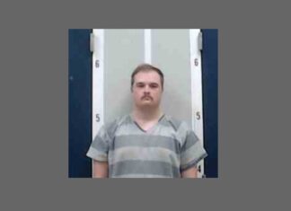 Former Cullman County Sheriff’s Office employee charged with soliciting a child
