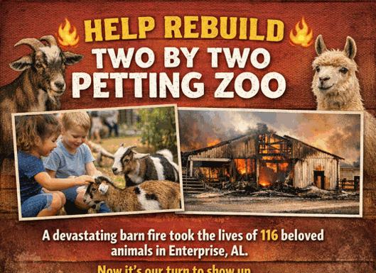 Snead’s Farmhouse, Fortner Farm raising funds to support Two by Two Petting Zoo after fire
