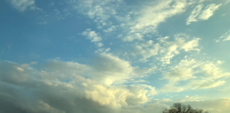 Op-Ed: To those who are anxious to speakÂ