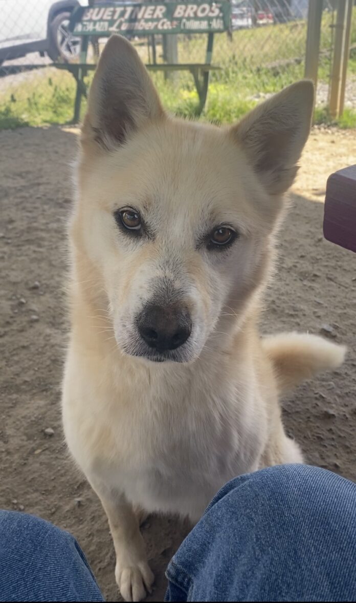 24A2688C-2920-4E20-815F-A231F2333209