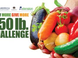 Alabama Extension celebrates America with 250 Pound Challenge