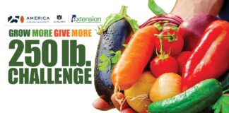 Alabama Extension celebrates America with 250 Pound Challenge