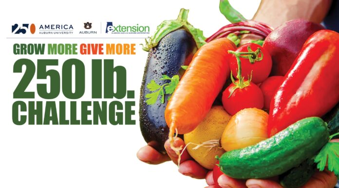 Alabama Extension celebrates America with 250 Pound Challenge