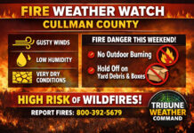 Cullman residents urged to avoid outdoor burning as wildfire risk rises statewide