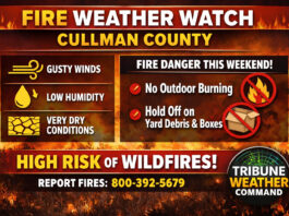 Cullman residents urged to avoid outdoor burning as wildfire risk rises statewide