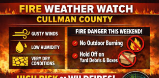 Cullman residents urged to avoid outdoor burning as wildfire risk rises statewide