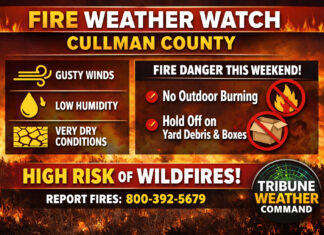 Cullman residents urged to avoid outdoor burning as wildfire risk rises statewide