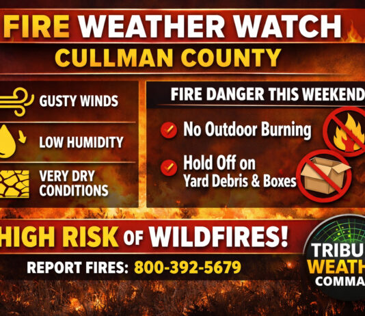 Cullman residents urged to avoid outdoor burning as wildfire risk rises statewide