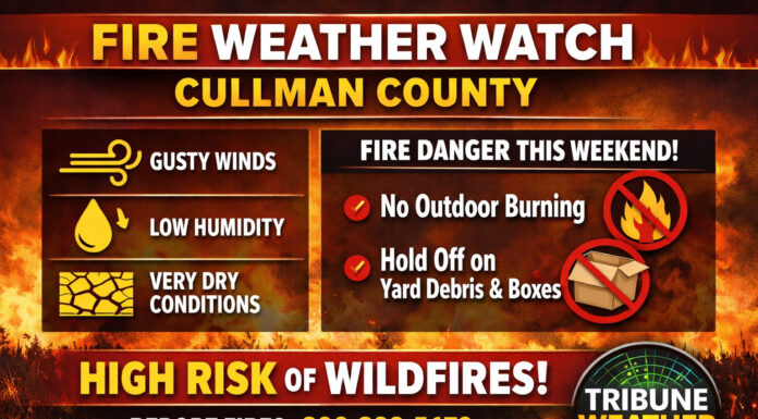 Cullman residents urged to avoid outdoor burning as wildfire risk rises statewide