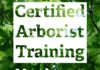 Certified arborist training planned for March 23-24 in Cullman