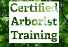 Certified arborist training planned for March 23-24 in Cullman