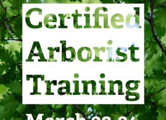 Certified arborist training planned for March 23-24 in Cullman