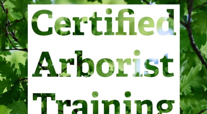 Certified arborist training planned for March 23-24 in Cullman