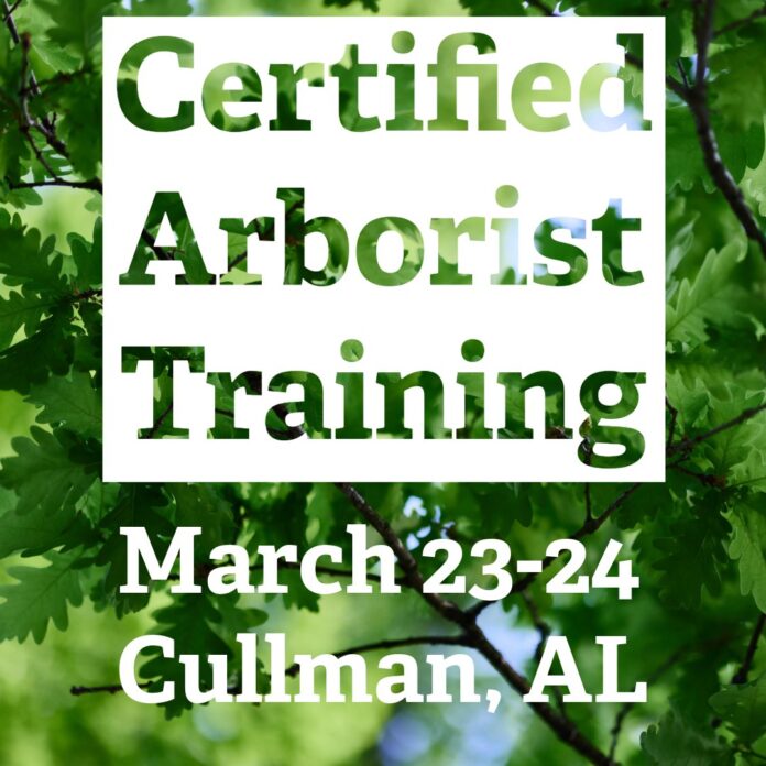 649086838_1502211445248219_9059697239754580088_n