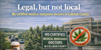 EDITORIAL: Legal, but not local: Medical cannabis access bypasses Cullman