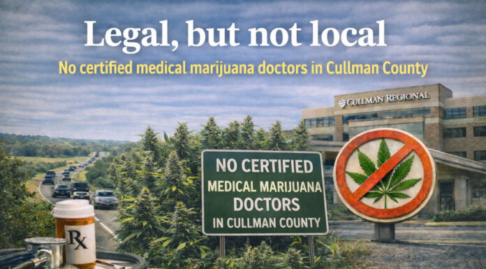 EDITORIAL: Legal, but not local: Medical cannabis access bypasses Cullman