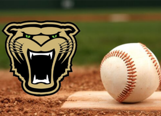 PREP BASEBALL: Bearcats hold off a late Hartselle rally to seal a 9-8 win