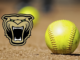 PREP SOFTBALL: Bates’ game-winning RBI single puts Cullman over Brewer in 7-6 extra-innings win