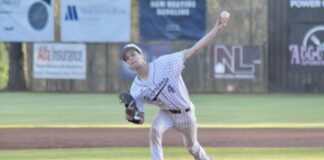 PREP BASEBALL: Clutch pitching and hitting help lift West Point to 6-4 win over Decatur