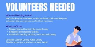 Library seeking volunteersÂ