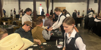 Rolling the dice for a good cause