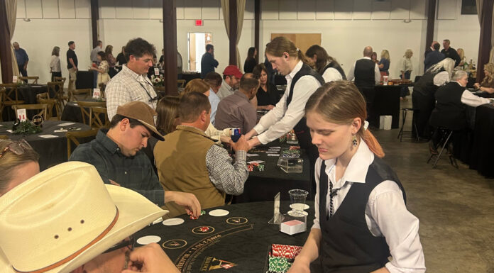 Rolling the dice for a good cause