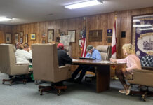 Fairview council talks ballpark improvements, new pickleball courts