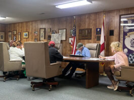 Fairview council talks ballpark improvements, new pickleball courts