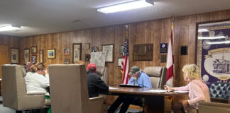 Fairview council talks ballpark improvements, new pickleball courts