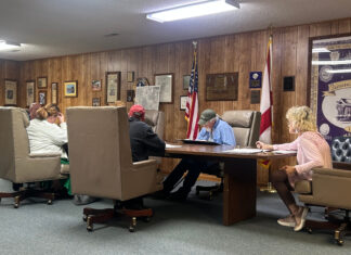 Fairview council talks ballpark improvements, new pickleball courts