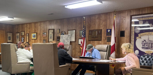 Fairview council talks ballpark improvements, new pickleball courts