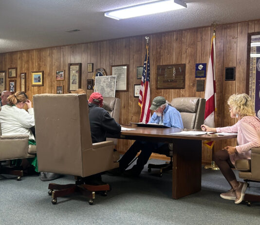 Fairview council talks ballpark improvements, new pickleball courts