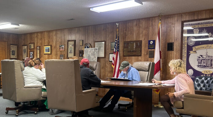 Fairview council talks ballpark improvements, new pickleball courts