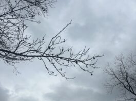 Spring weather: Be prepared