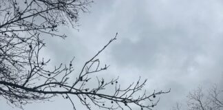 Spring weather: Be preparedÂ