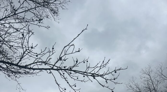 Spring weather: Be prepared