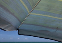 Spring break safety and respect: A guide for travelers