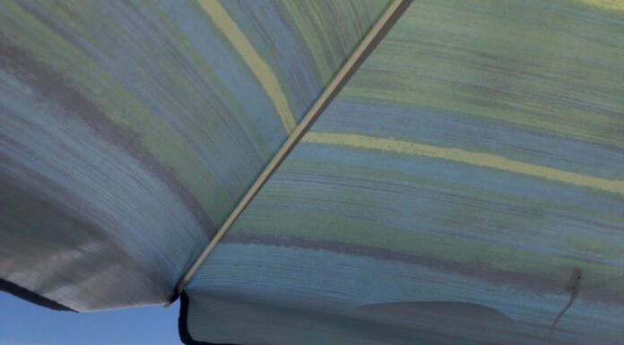 Spring break safety and respect: A guide for travelers