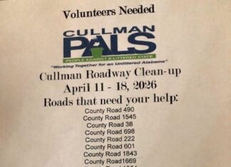 Cullman County PALS seeking volunteers for April roadway cleanup