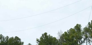 $1.3M state grant supports Walter Water Authority improvements