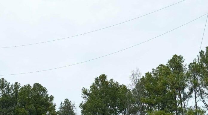 $1.3M state grant supports Walter Water Authority improvements