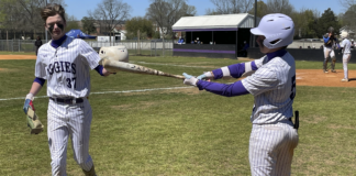 PREP BASEBALL: Fairview’s offense explosive as they down Cold Springs 13-0, move on to the Cullman Co. Tournament championship