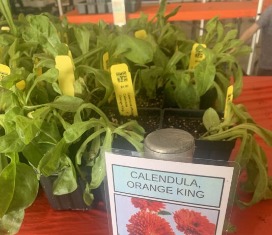 Master Gardeners hold annual sale; Spring Plant Sale coming April 17-18
