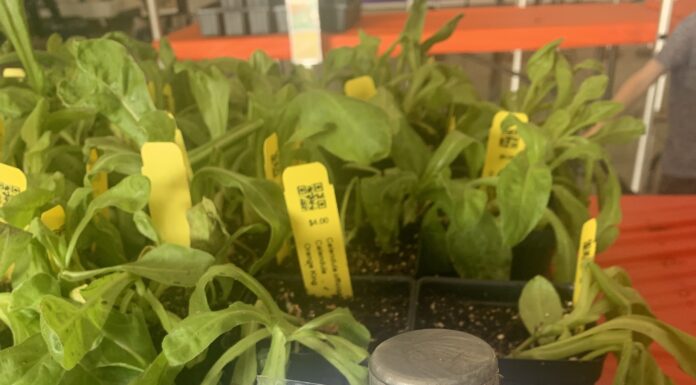 Master Gardeners hold annual sale; Spring Plant Sale coming April 17-18