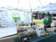 Hanceville Irish Festival draws biggest turnout yet