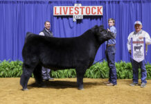 Local youth exhibit award-winning animals at State Livestock ExpoÂ